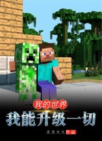 我的世界:我能升級一切